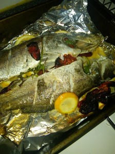 IMG01068-20110317-1857