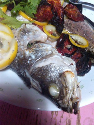IMG01070-20110317-1859