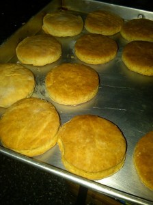 IMG01861-20110626-1131