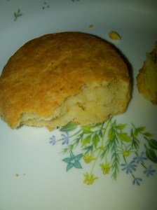 IMG01863-20110626-1132