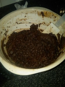 IMG02093-20110826-2057